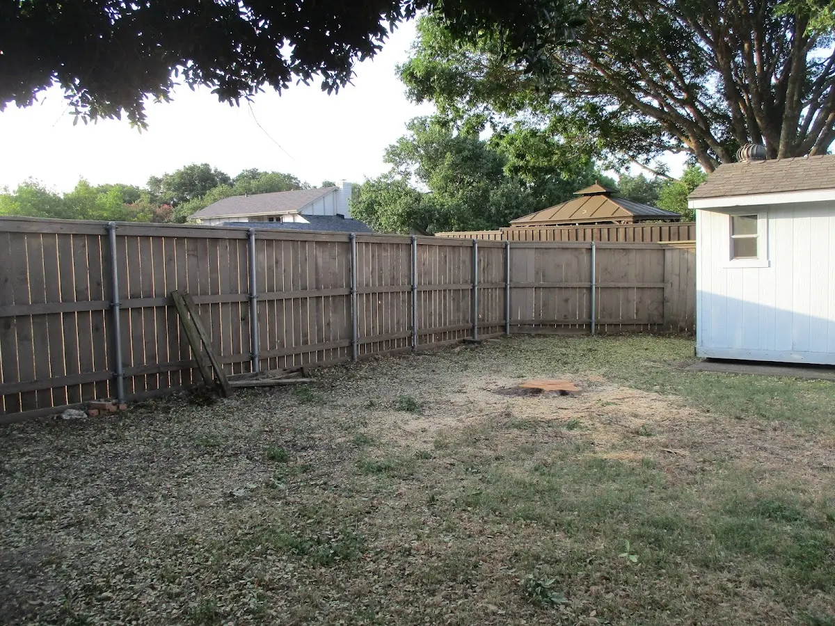 Cleared yard after professional tree removal in Camp Hill